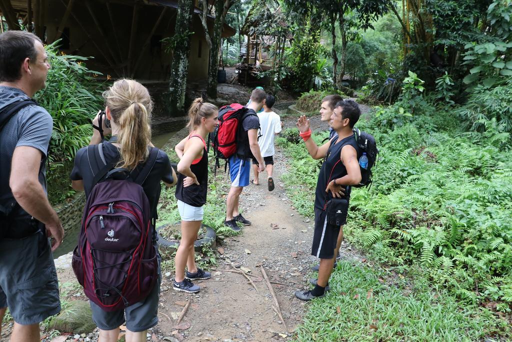 Thomas' Retreat Bukit Lawang Hotel ภายนอก รูปภาพ